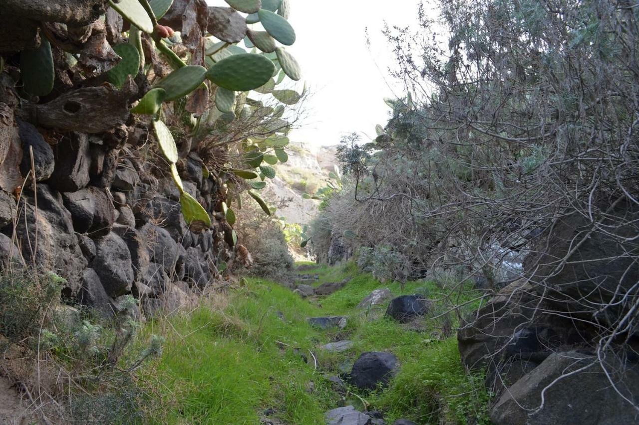 הוילה תירסיה Agrilia Secluded Cave House מראה חיצוני תמונה